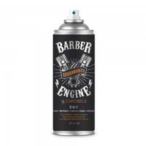 BEARDBURYS 5 IN 1 SPRAY...